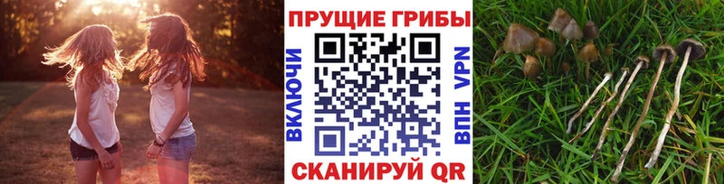 Псилоцибиновые грибы прущие грибы  Усть-Кут 